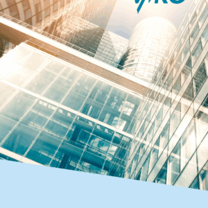 VMRG Gevels en statica